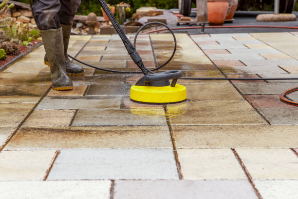 Best Driveway Pressure Washing  in Panacea, FL