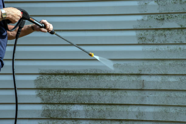 Trusted Panacea, FL Pressure Washing Experts