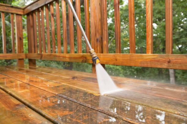 Best Patio and Deck Pressure Washing  in Panacea, FL